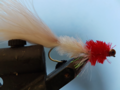 art rattle swimmer k