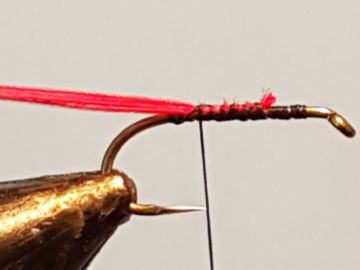 claret-caddis-a